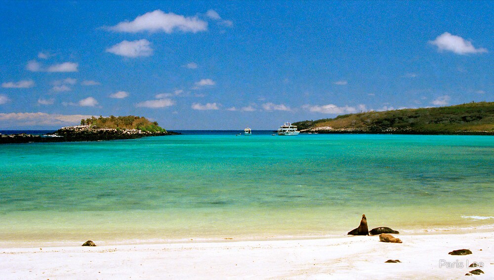 Viajes a los mejores destinos del mundo: Islas Galápagos