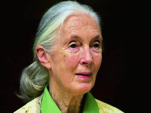 Jane Goodall