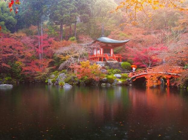 Japón, así descubrí el paraíso | Mujer Hoy