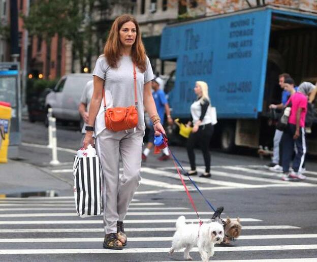 Mariló Montero paseando a sus perros por Nueva York./gtres.