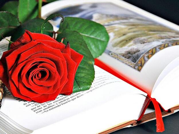 Una rosa apoyada sobre un libro/PINTEREST