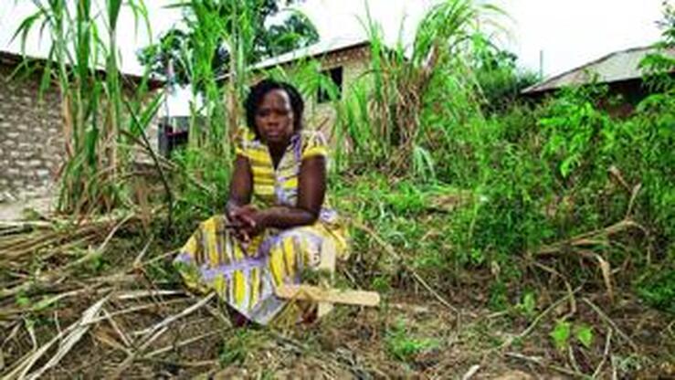 Ecoguerreras