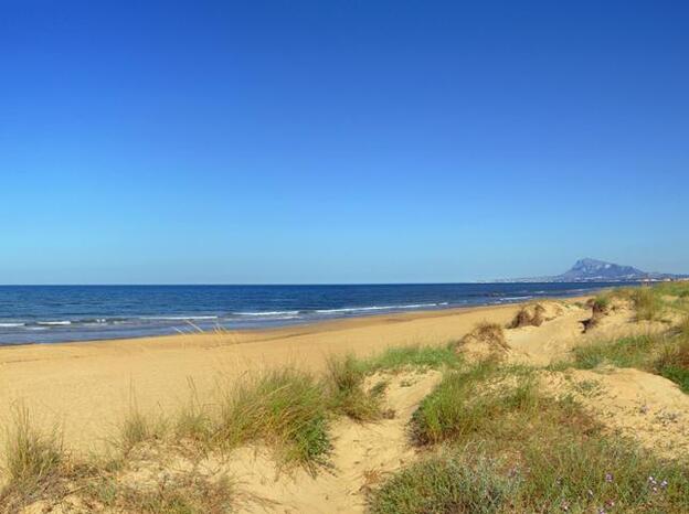 Playa de Oliva, en Valencia