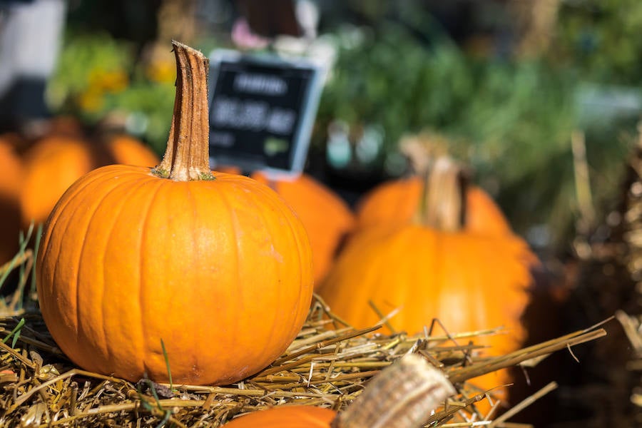 Alimentos contra el resfriado, la tos y la gripe: calabaza