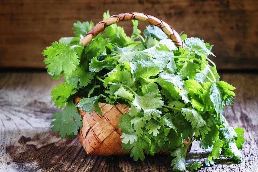 Alimentos détox: cilantro