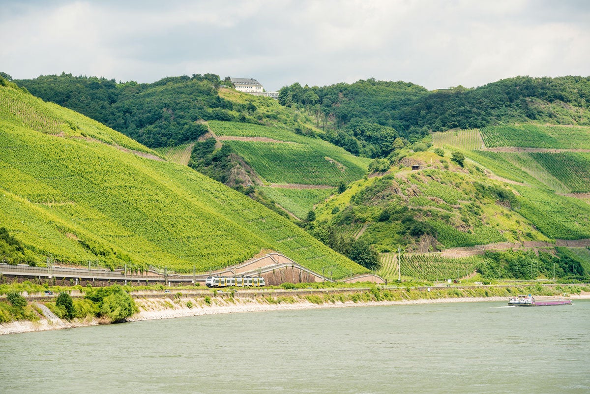 Los seis viajes en tren más bellos de Europa: entre los viñedos, a orillas del Rhin