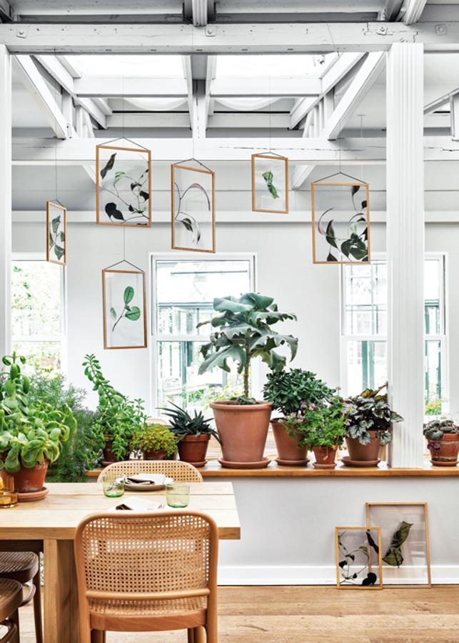 Decoración de primavera: ideas, tendencias y novedades: Plantas