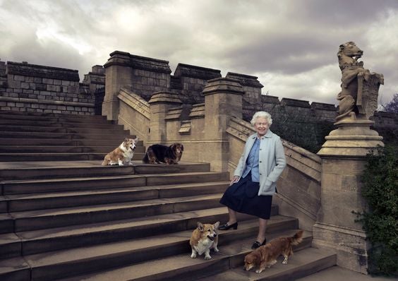 La gran historia de amor de Isabel II con sus 'corgies'