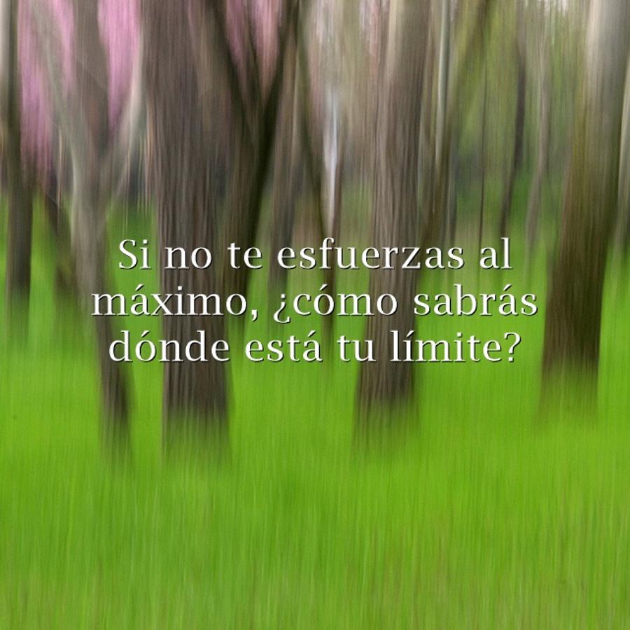 Frases positivas para motivar a los niños