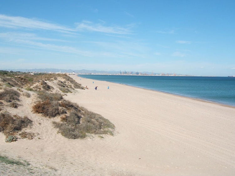 Las 10 playas más bonitas de Valencia: Playa El Saler