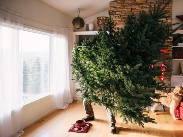 Haz click en la imagen para descubrir 9 ideas bonitas para decorar tu casa y tu árbol de Navidad./getty