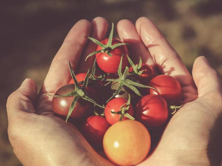 Alimentos para una piel perfecta en verano