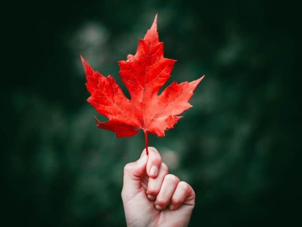 Pincha en la imagen para conocer los alimentos que combaten el cansancio y el dolor de cabeza/unsplash