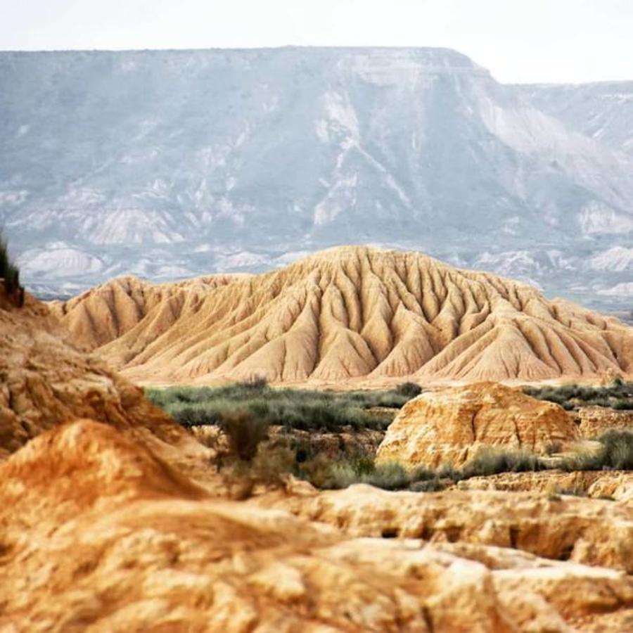 Bárdenas reales, Navarra