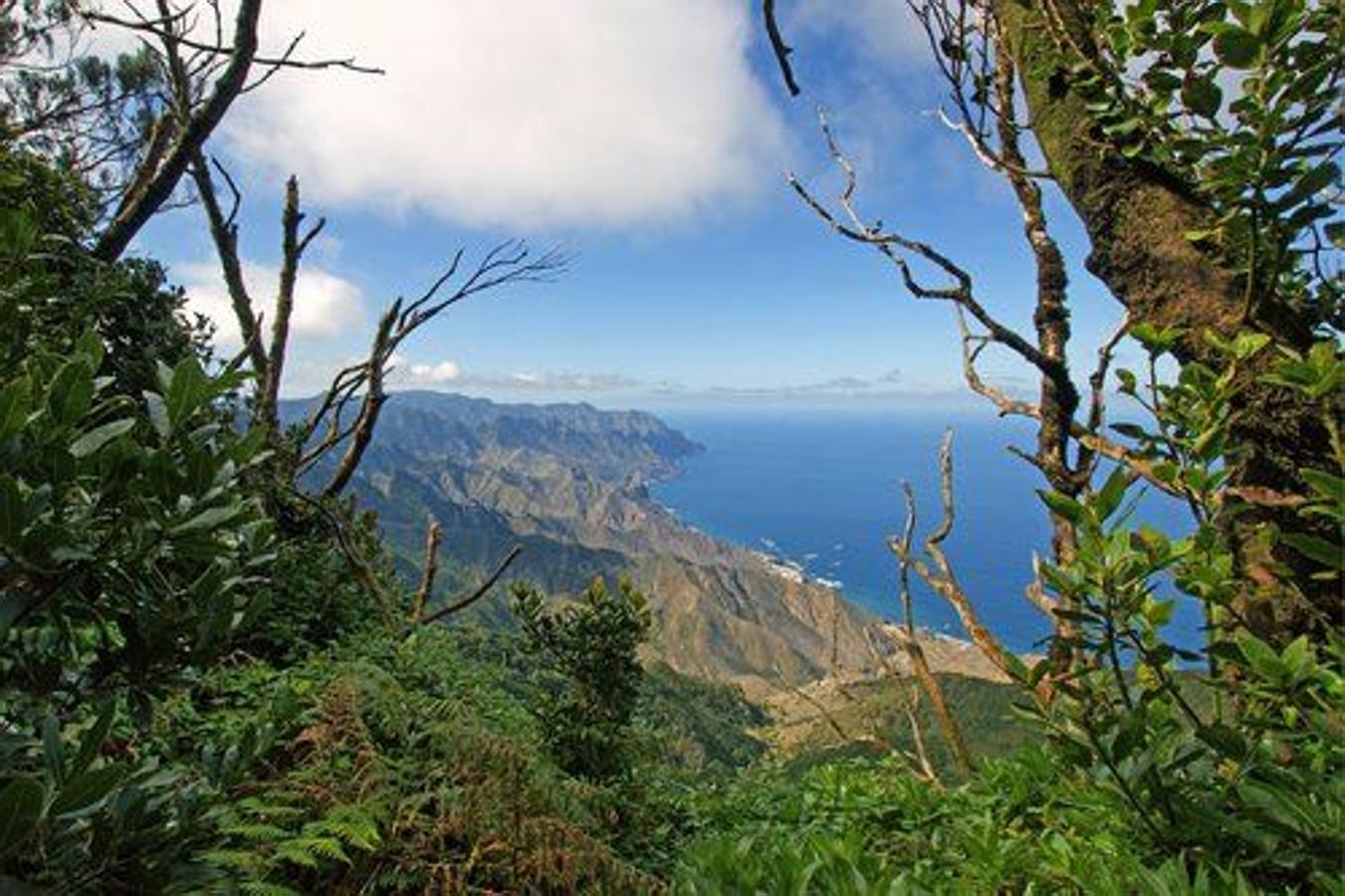 Parque Natural de Anaga, Tenerife