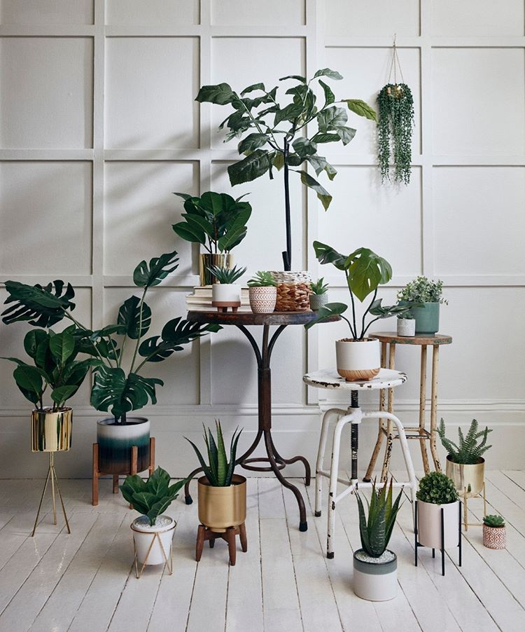 Ideas de Primark Home para decorar tu casa con plantas artificiales