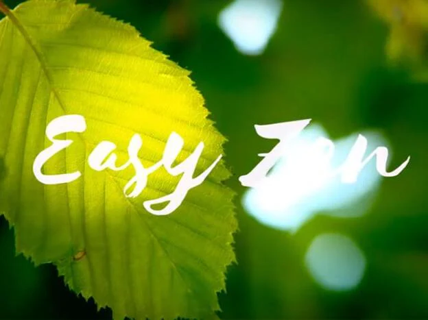 El canal de YouTube de Easy Zen es una buena alternativa para practicar la meditación y la relajación.