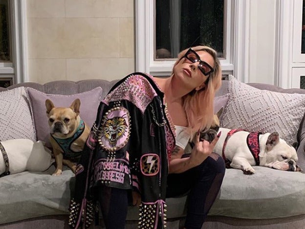 No nos entraba en la foto el tercer bulldog de Lady Gaga, pero ahí está, tan cómodo como los demás.