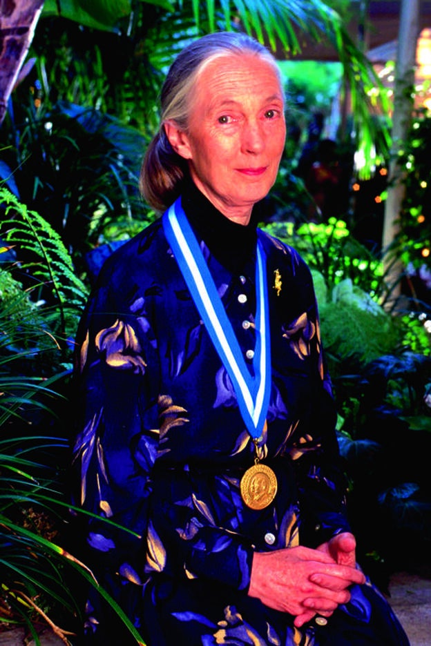 Jane Goodall se ha convertido, a sus 86 años, en una de las voces que ha alertado de la vinculación entre la pandemia global y la destrucción de los ecosistemas naturales./getty