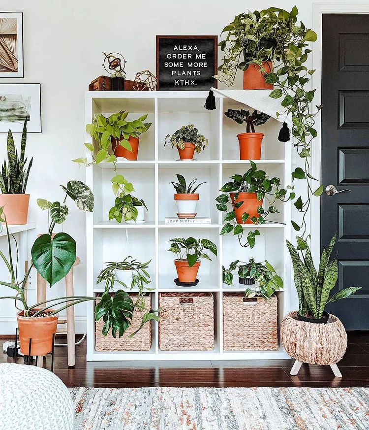 Maestro sed Preciso Fotos: Cómo decorar tu casa con plantas de interior: fichamos las ideas más  bonitas de Instagram en H&M Home y Amazon Home | Mujer Hoy