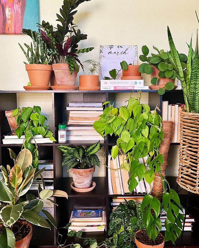 Fotos: Cómo decorar tu casa con plantas de interior: fichamos las ideas más bonitas  de Instagram en H&M Home y Amazon Home | Mujer Hoy