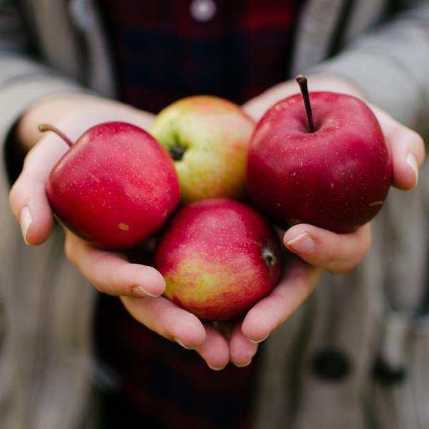 Los 10 mejores alimentos que puedes tomar para mejorar la microbiota y tu salud intestinal