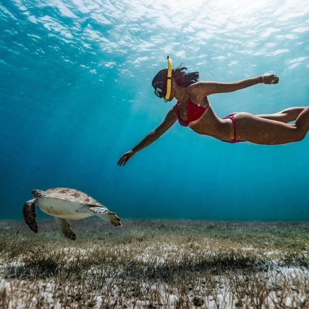 No te dejes engañar por la falta de profunidad, haciendo snorkeling descubrirás grandes tesoros marinos