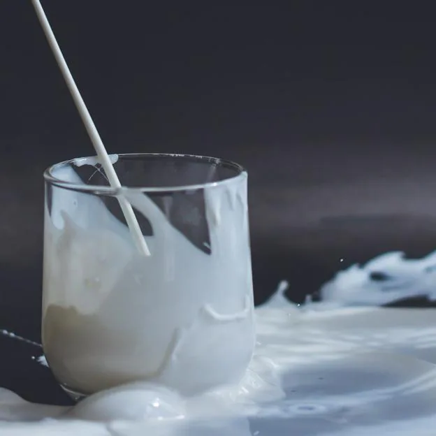 Las verdaderas diferencias entre la leche orgánica y la leche ...