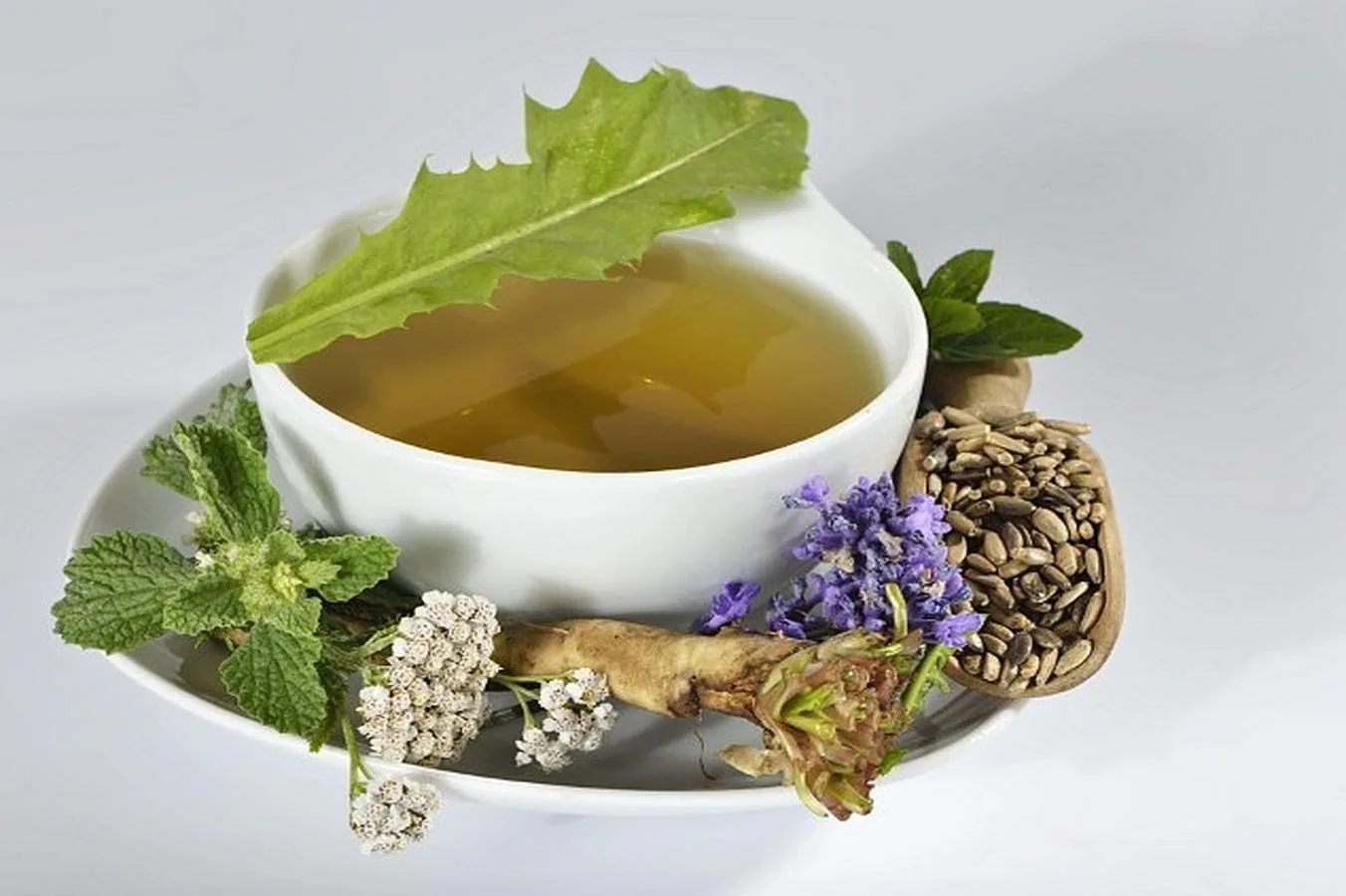 El té verde, antioxidante y adelgazante