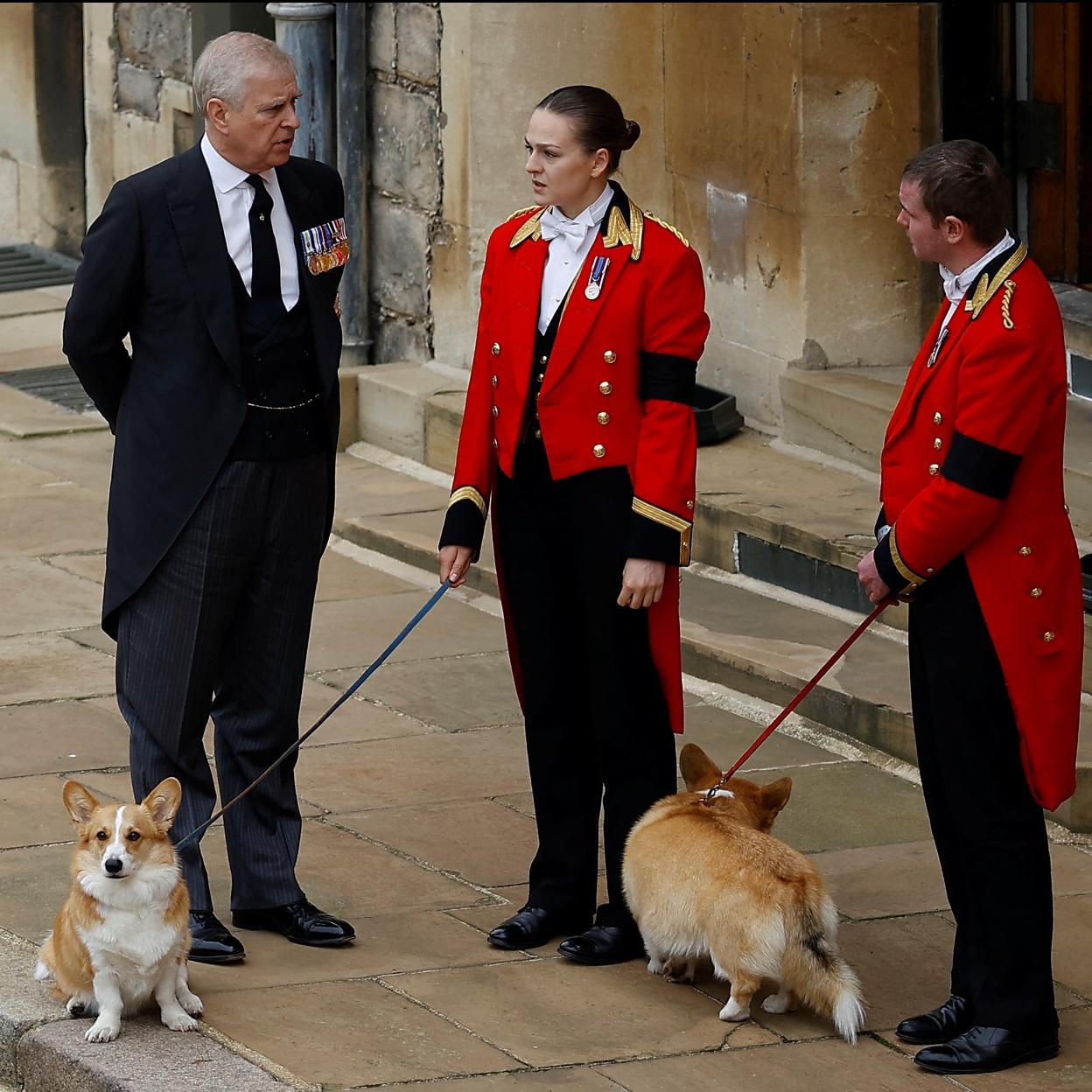 El príncipe Andrés con el servicio y los corgis de su madre en el funeral de Isabel II./gtres