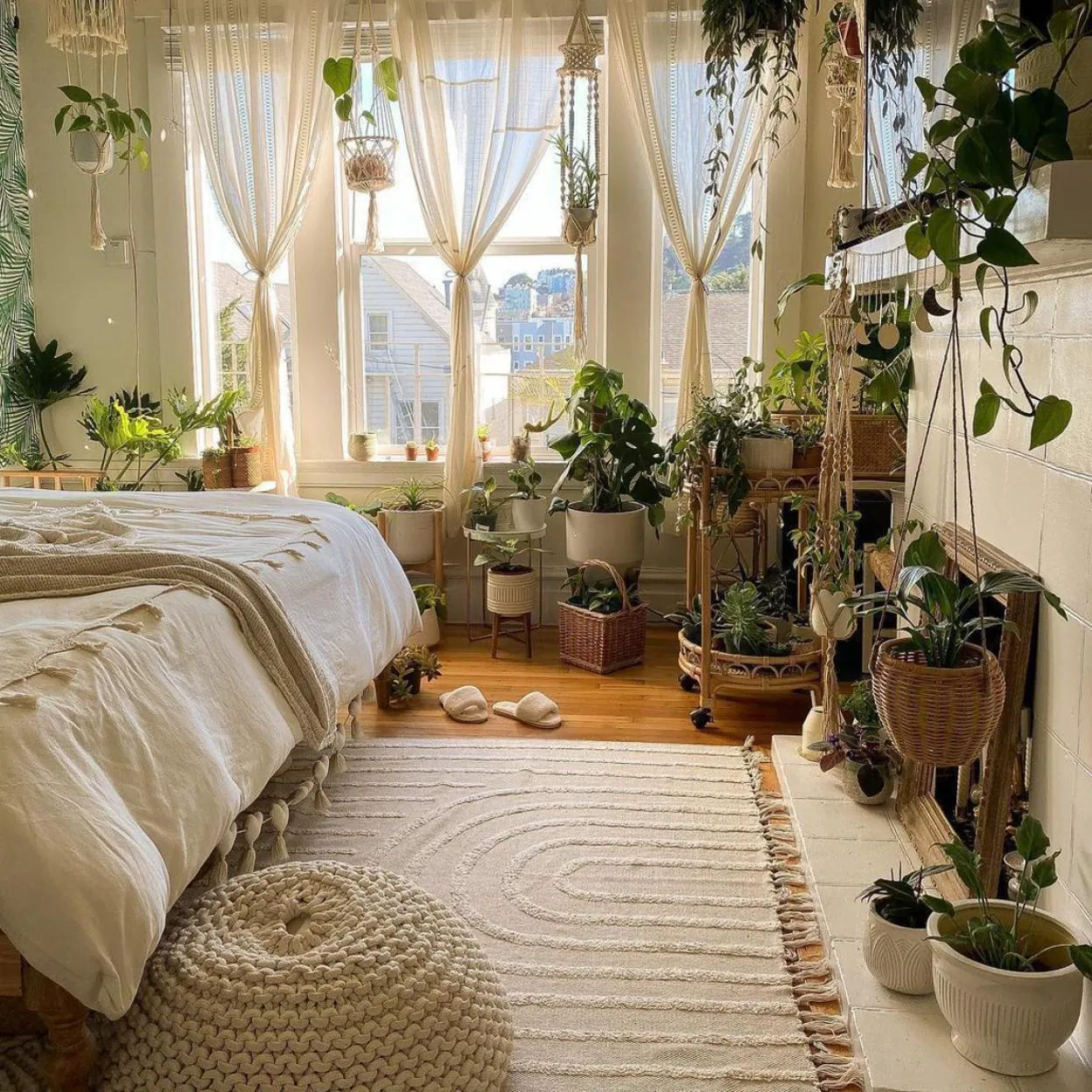 Cactus-decoración-decor-de-casa-estilo-de-hogar