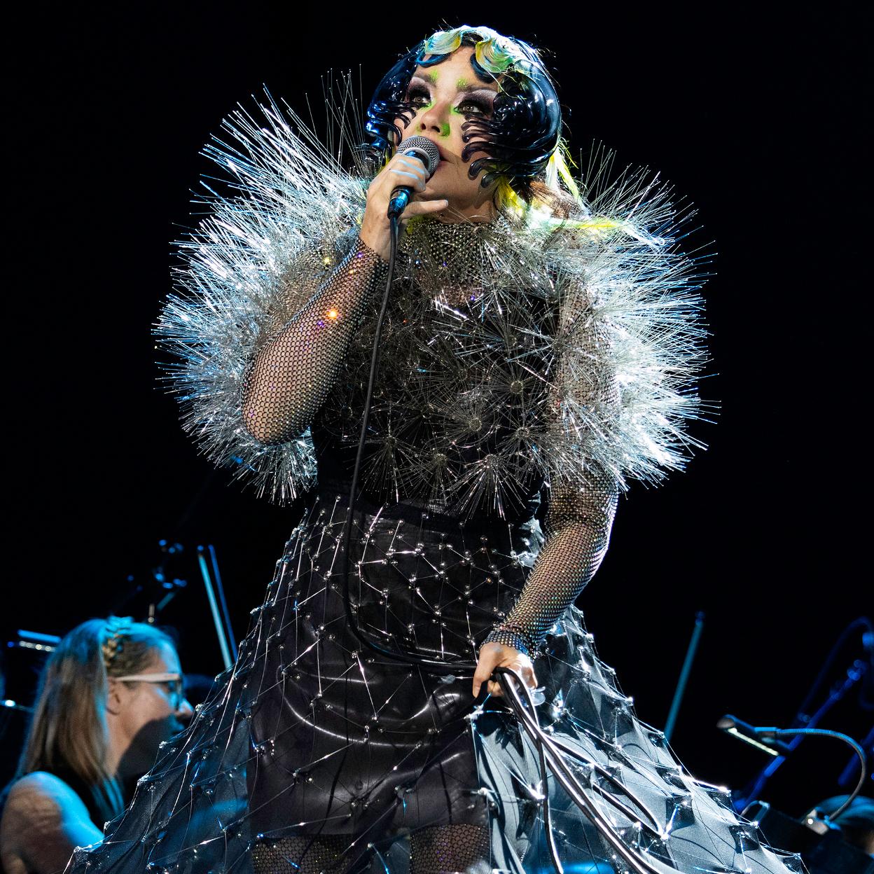 Qué tienen en común Rosalía, Björk y los salmones salvajes de Islandia |  Mujer Hoy