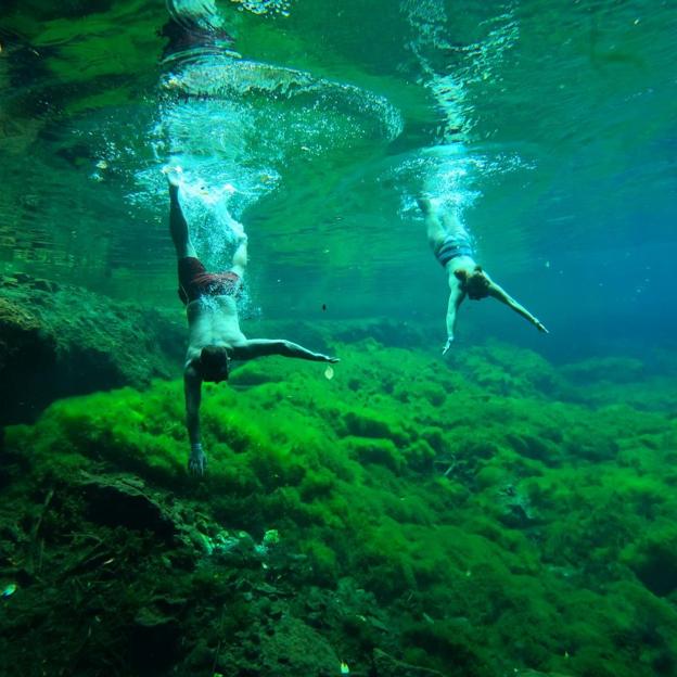 Proyecto de turismo comunitario de los cenotes