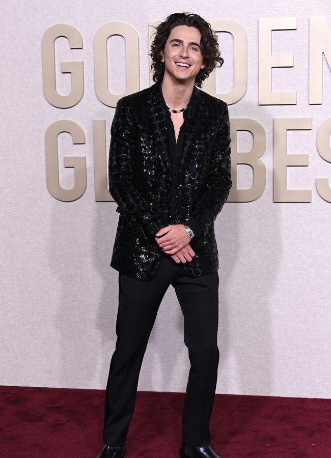 Timothée Chalamet. / GTRES