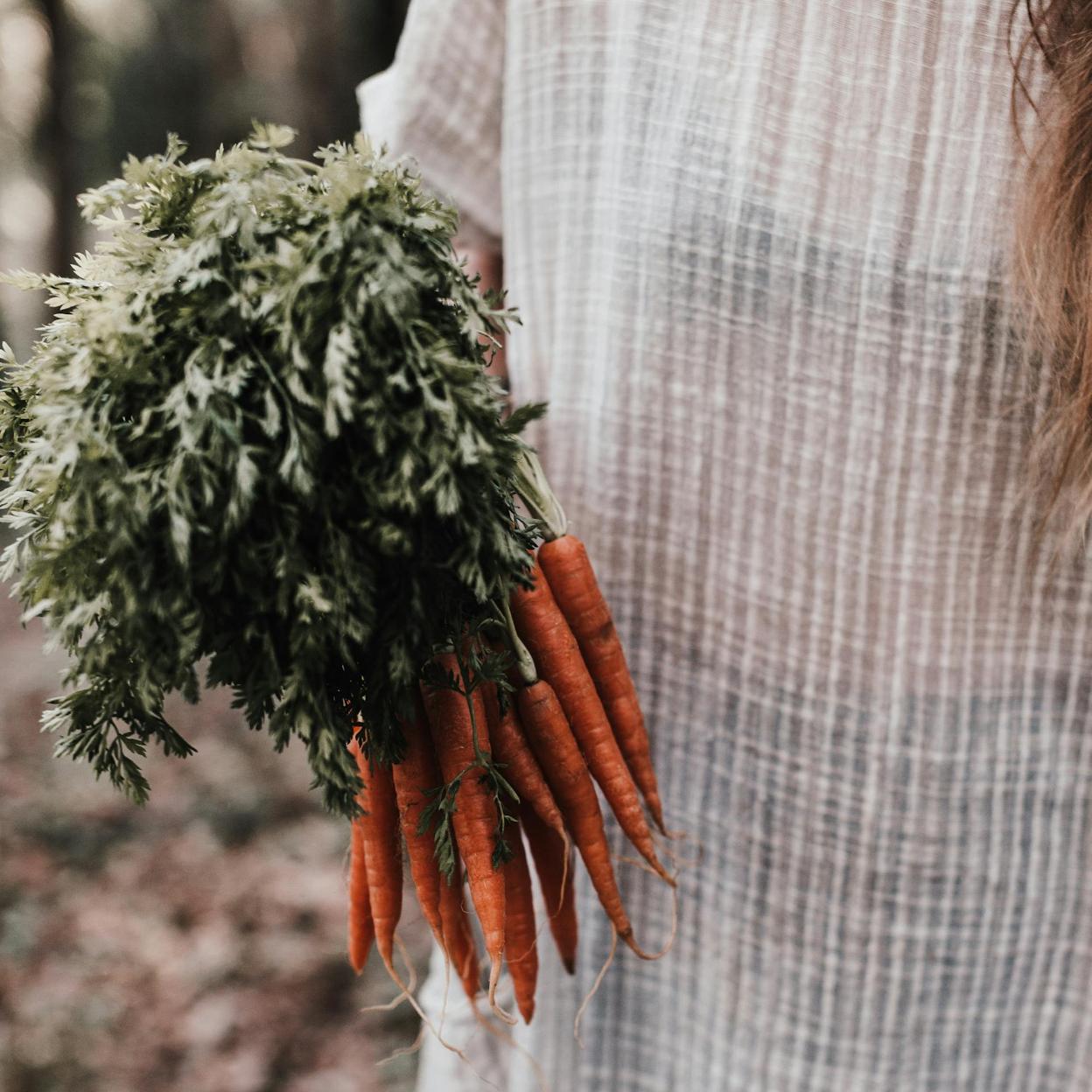 Beneficios de comer zanahoria cruda/Unsplash