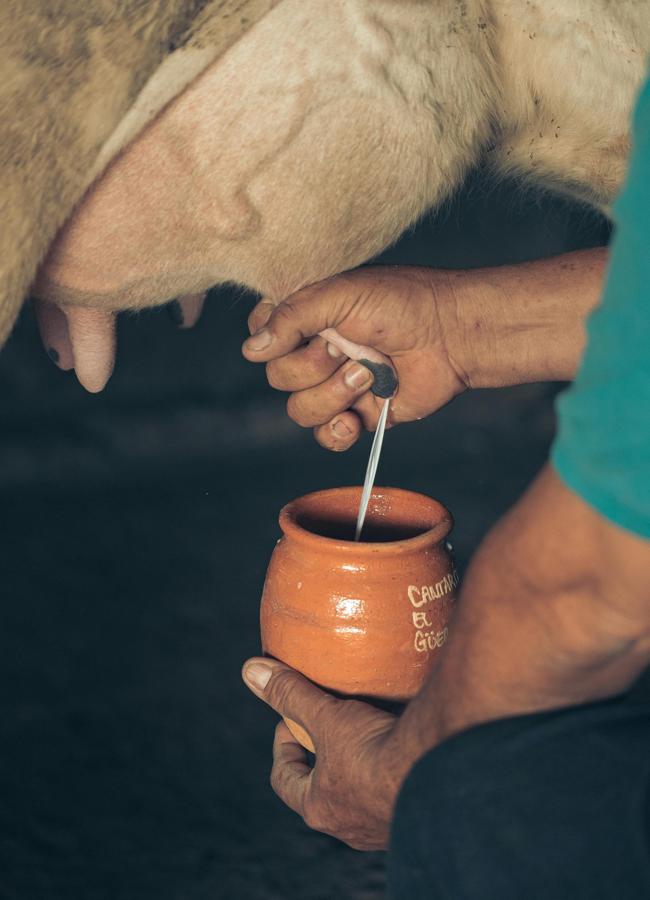 Cuándo se utilizó por primera vez la leche para consumo humano será una de las incógnitas que tratará de resolver Nicolas Teyssandier en su libro. / Periférica