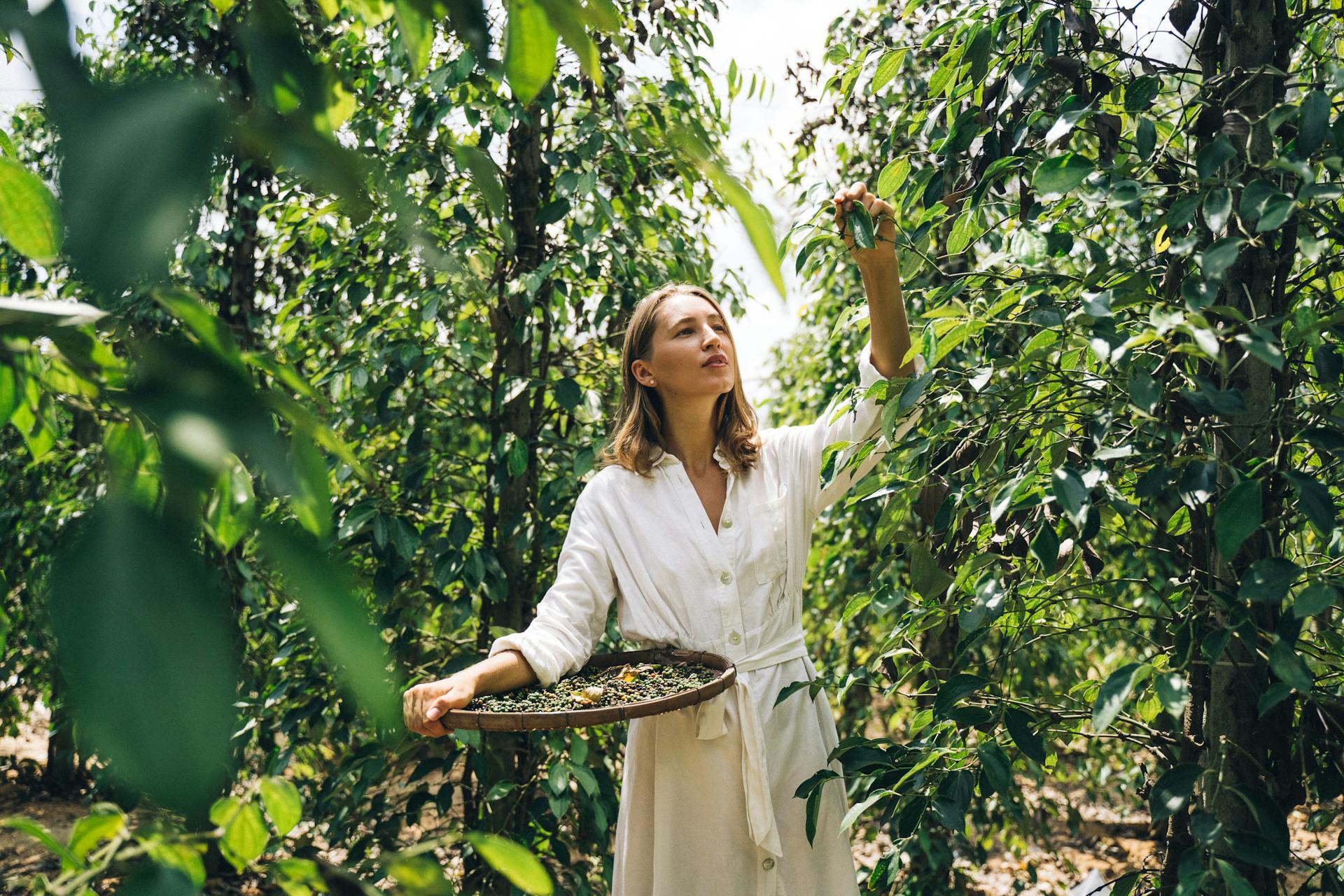 Cómo cocinar las verduras de forma sana./pexels