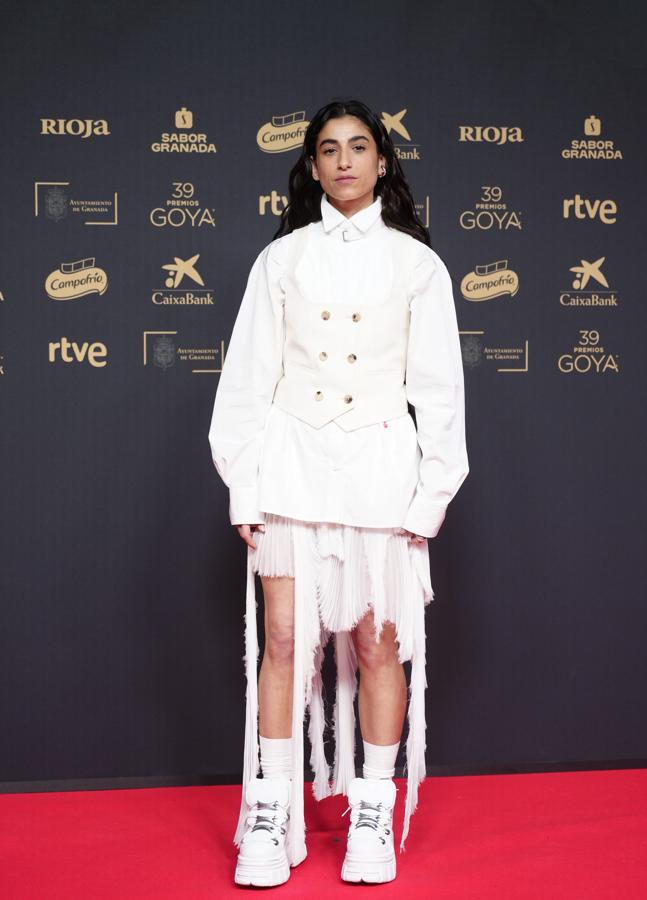 Todos los looks de los Premios Goya 2025 (LIMITED PICTURES)