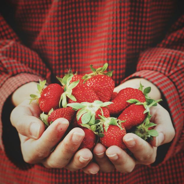 Las frutas pueden regular los niveles de azúcar en sangre. 