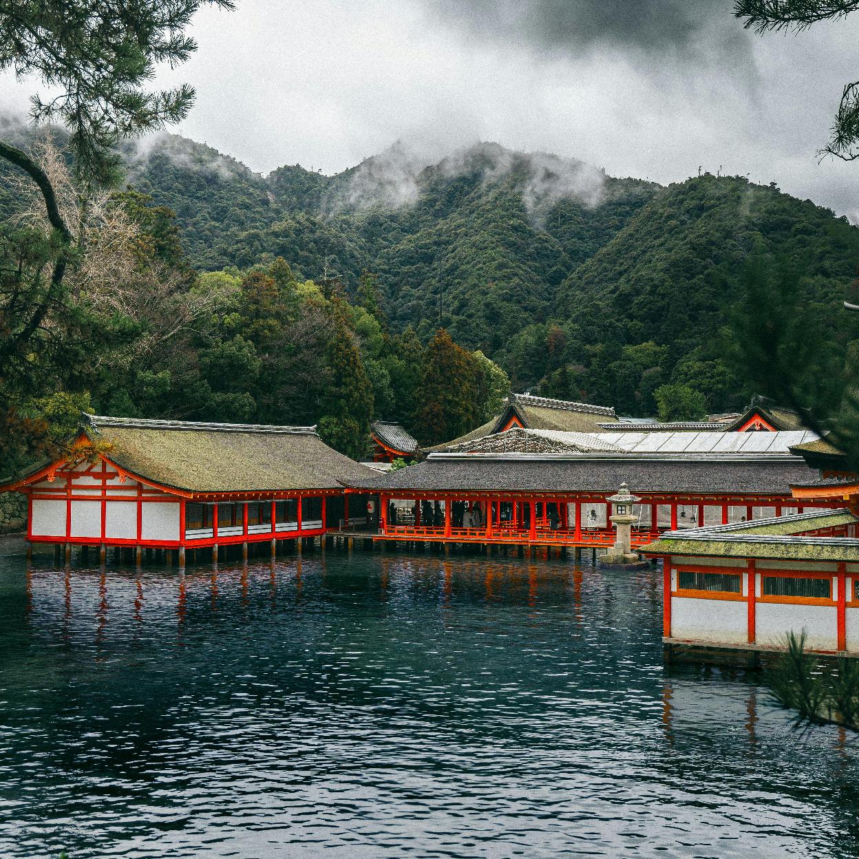 El particular paisaje nipón juega un papel muy importante en la literatura japonesa, que gana terreno en la oferta editorial de nuestro país./roger capper/pexels